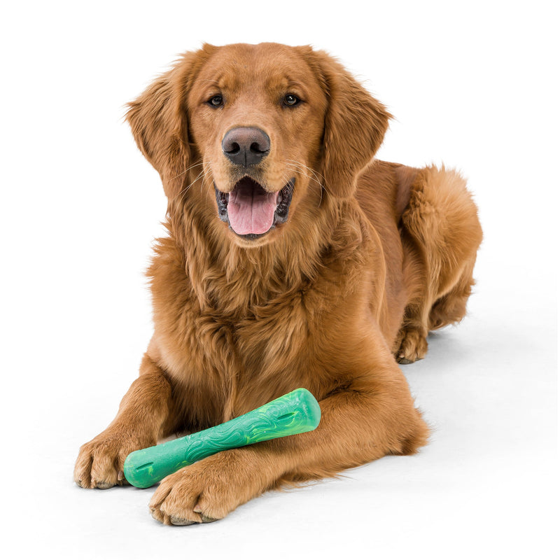 West Paw Seaflex Recycled Plastic Fetch Dog Toy - Drifty Large by PeekAPaw