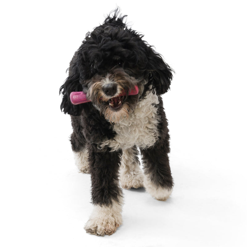 West Paw Seaflex Recycled Plastic Fetch Dog Toy - Drifty Small by PeekAPaw