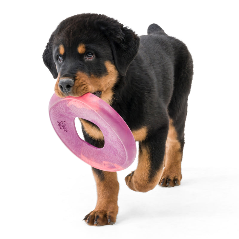 West Paw Seaflex Recycled Plastic Flyer Dog Toys - Sailz