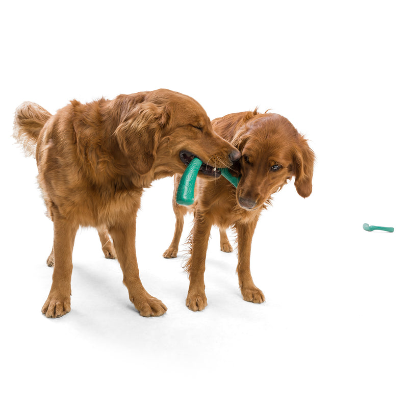 West Paw Seaflex Recycled Plastic Tug Dog Toys - Snorkl