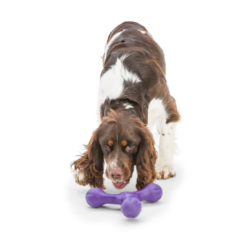 West Paw Skamp Flyer-Inspired Fetch Dog Toys