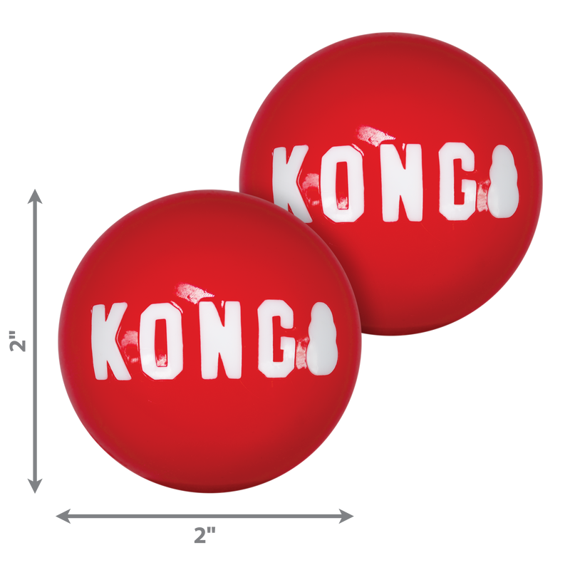 KONG Dog Toys Signature Balls 06
