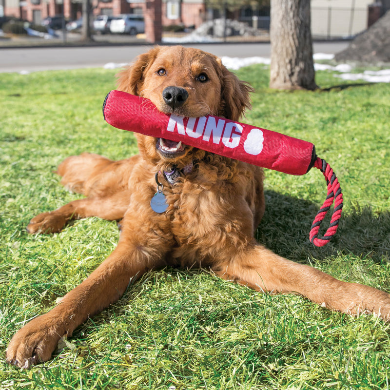 KONG Dog Toys Signature Stick with Rope 04