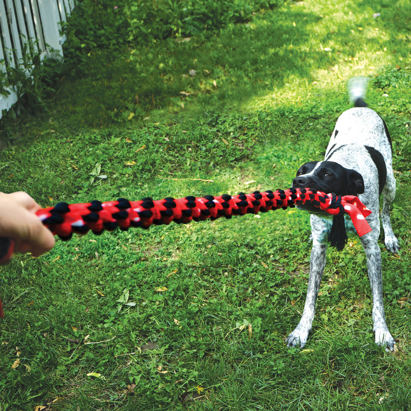 KONG Dog Toys Signature Rope Mega 40'' Dual Knot 04