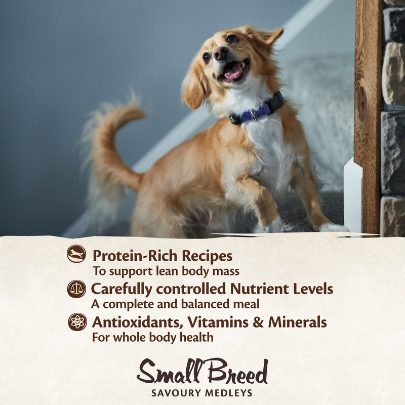 Wellness Core Wet Dog Food Small Breed Savoury Medleys Farmer Selection Multipack