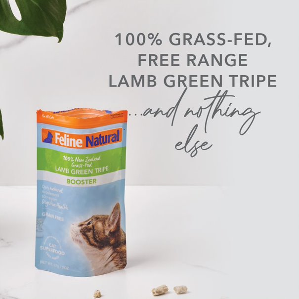 Feline Natural Freeze Dried Lamb Green Tripe Booster 02