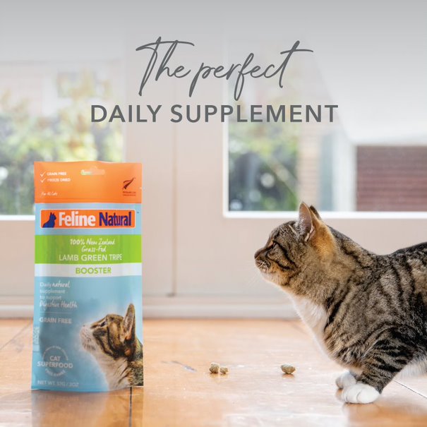 Feline Natural Freeze Dried Lamb Green Tripe Booster 01
