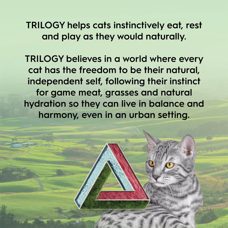 Trilogy Freeze Dried Cat Treats Lamb PeekAPaw