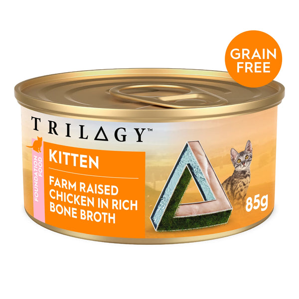Best wet cat food cheap kittens