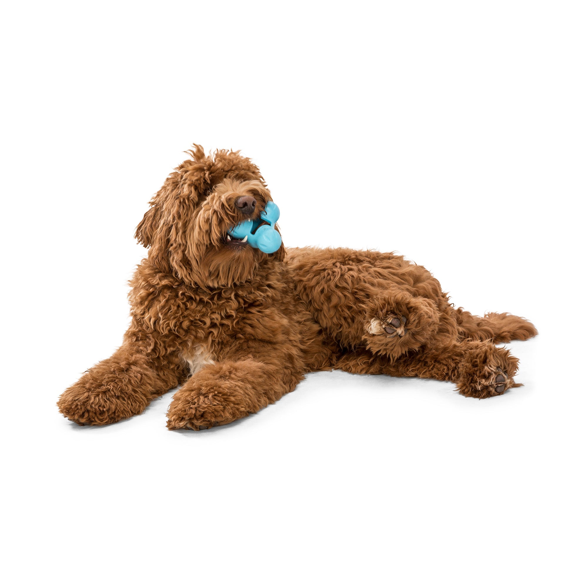 West Paw Tux Treat Dispenser for Tough Dogs - Small by PeekAPaw