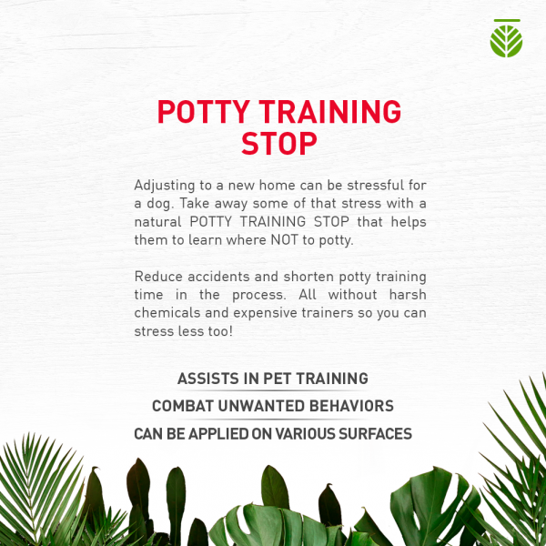 Amazonia Potty Training Stop for Dogs 05