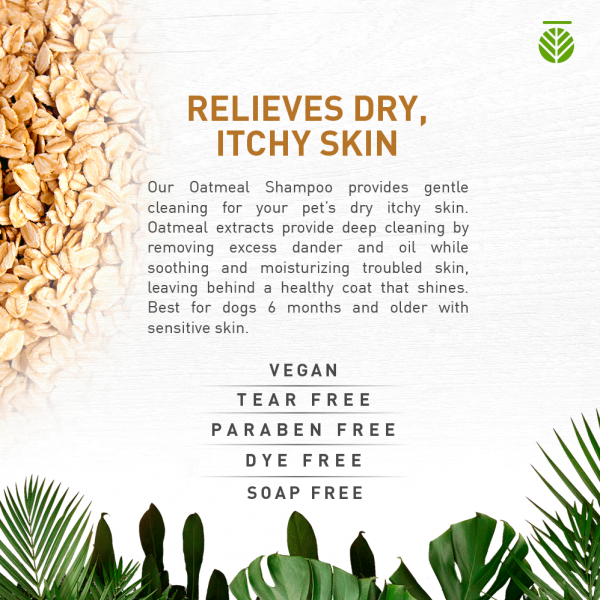 Amazonia Shampoo Oatmeal Dry & Ichy Skin for Dogs 02