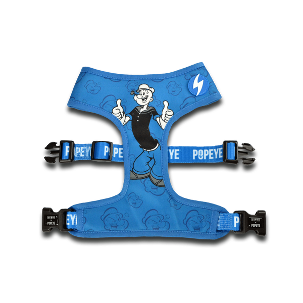 Dashi Dog Popeye Neo Mesh