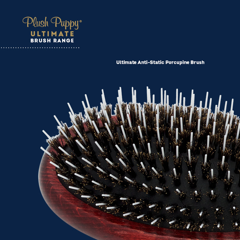 Plush Puppy Ultimate Anti-Static Porcupine Brush 06