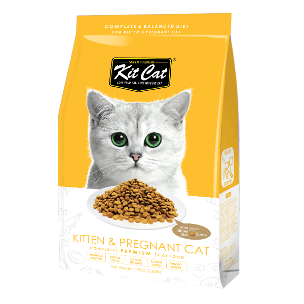 Kit Cat Premium Dry Cat Food Kitten & Pregnant