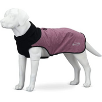 Scruffs Magenta Purple dog coat shown on a mannequin dog