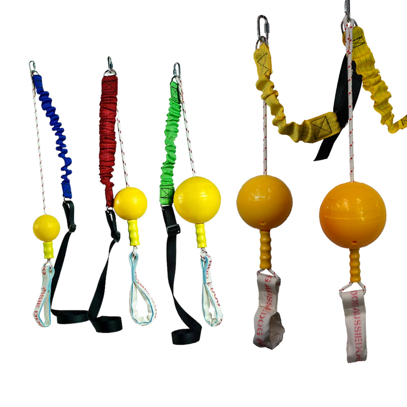 Aussie dog home shop alone