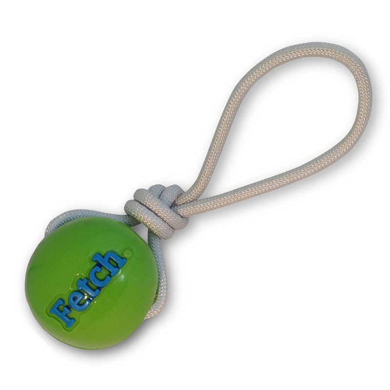 Planet Dog Orbee-Tuff Fetch Ball With Rope Dog Toy