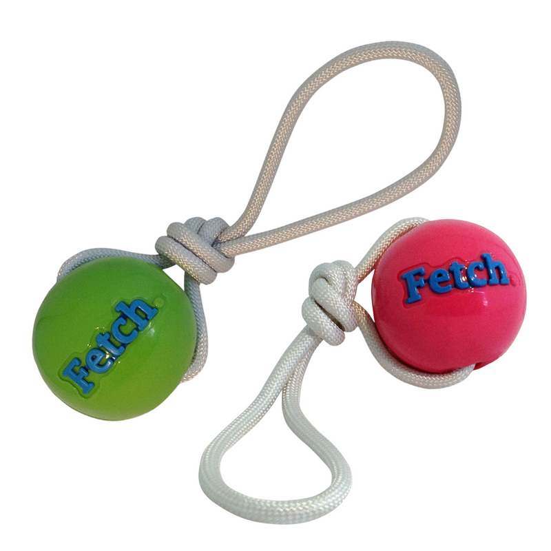 Planet Dog Orbee-Tuff Fetch Ball With Rope Dog Toy