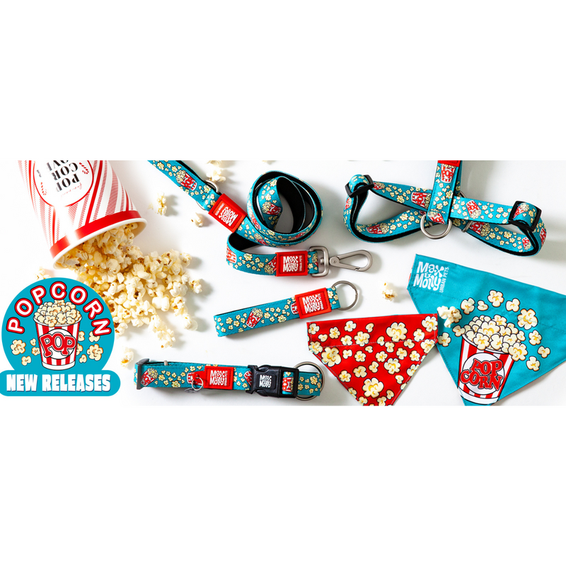 Max & Molly Smart Id Dog Collar - Popcorn 03