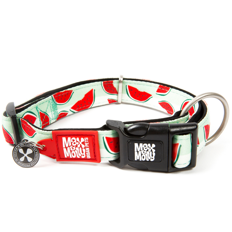 Max & Molly Smart Id Dog Collar - Watermelon 01