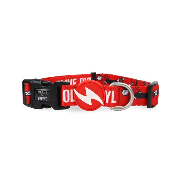 Dashi Dog Olive Oyl Collar