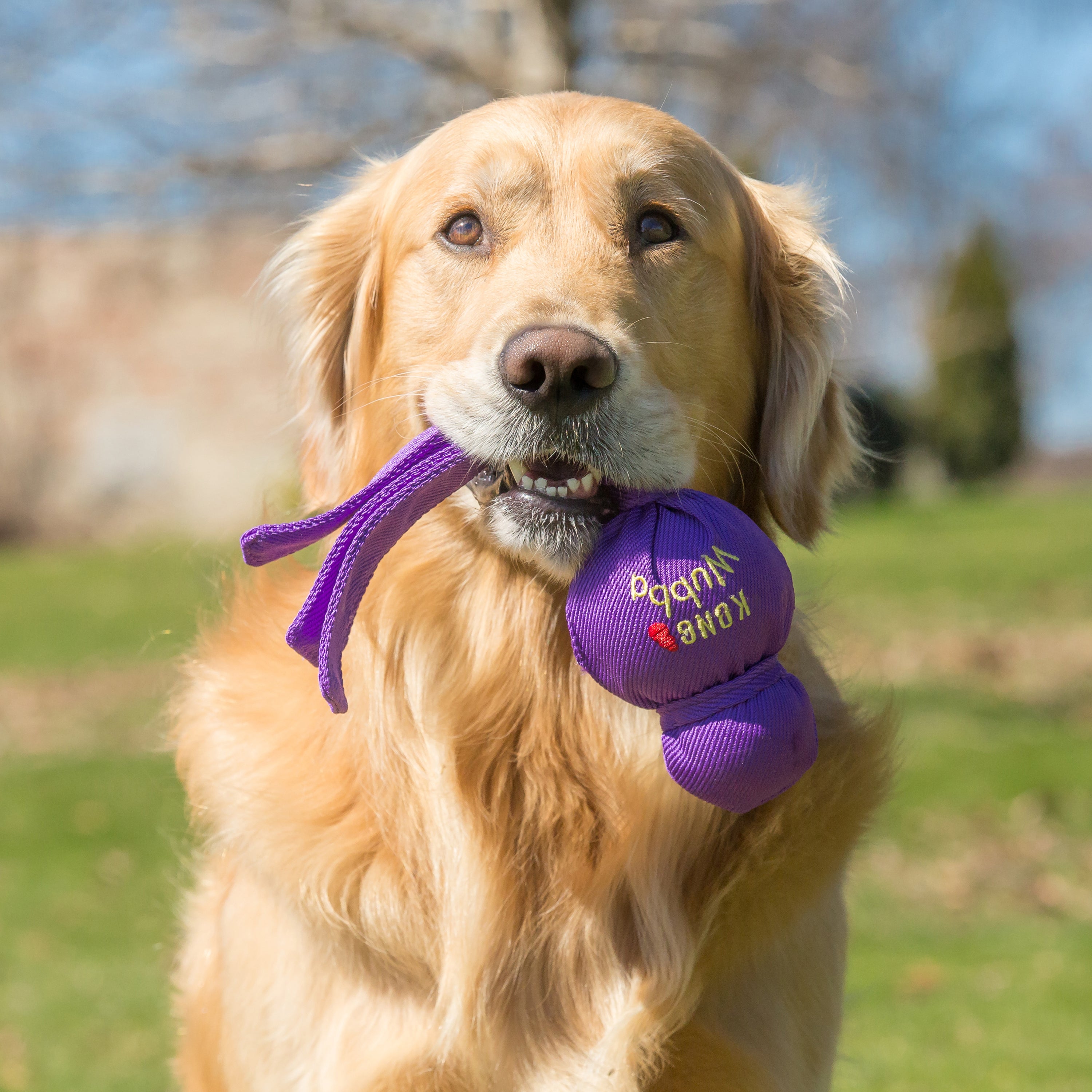 KONG Dog Toys Wubba Assorted 09