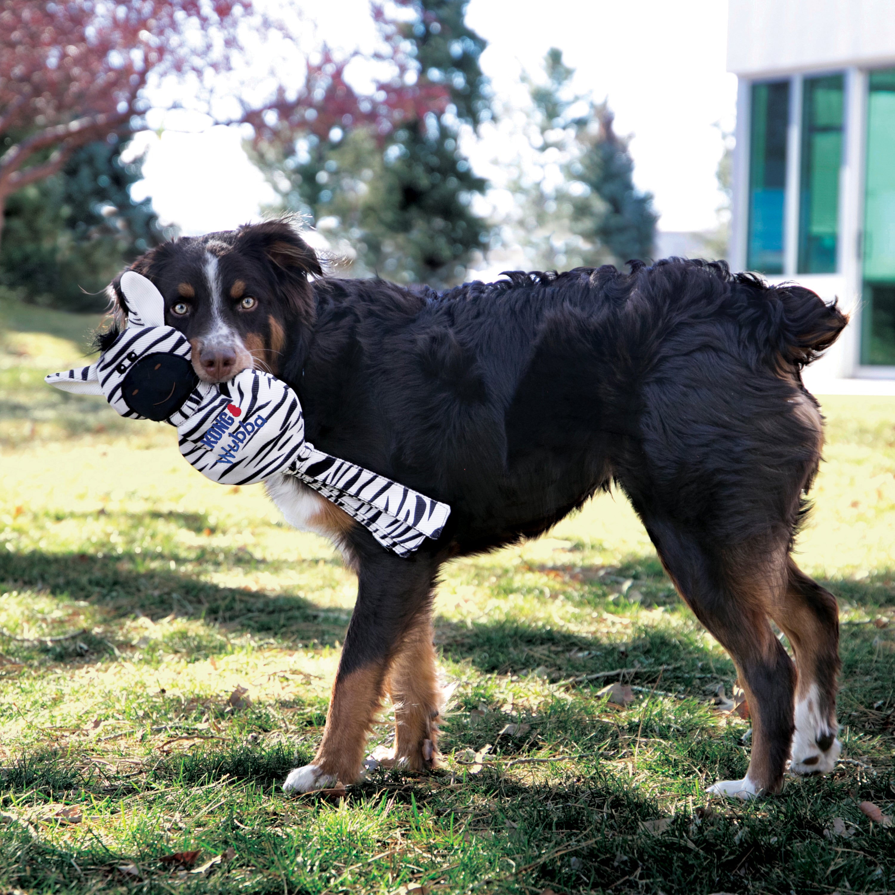 KONG Dog Toys Wubba No Stuff Zebra 03