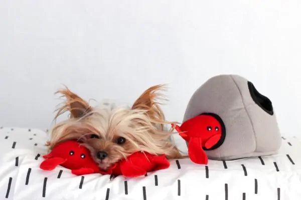 Zippy Paws Dog Toys Plush Burrow - Rock with 3 Crabs 03