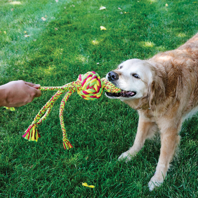 KONG Dog Toys Wubba Weaves with Rope Assorted 06