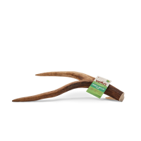 WAG Whole Deer Antler - Small