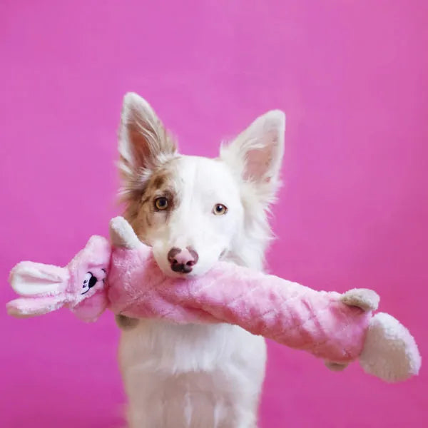 Zippy Paws Dog Toys Plush Jigglerz - Bunny 03