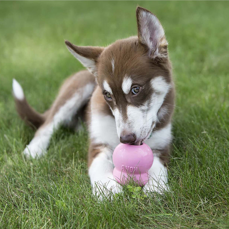 KONG Dog Easy Treat Puppy 01