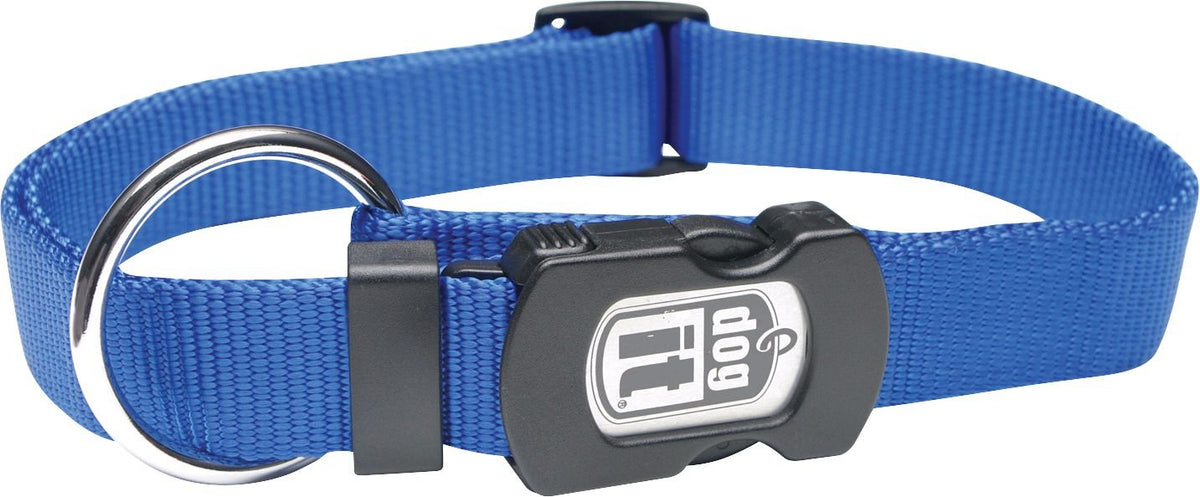 Blue nylon dog collar with a quick-snap buckle