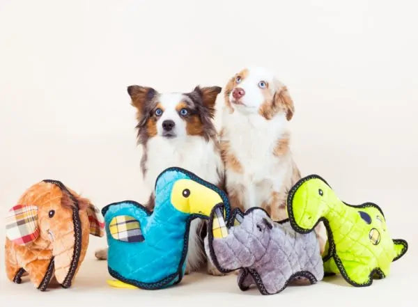 Zippy Paws Dog Toys Plush Grunterz Z-Stitch - Dodo the Dodo Bird 03