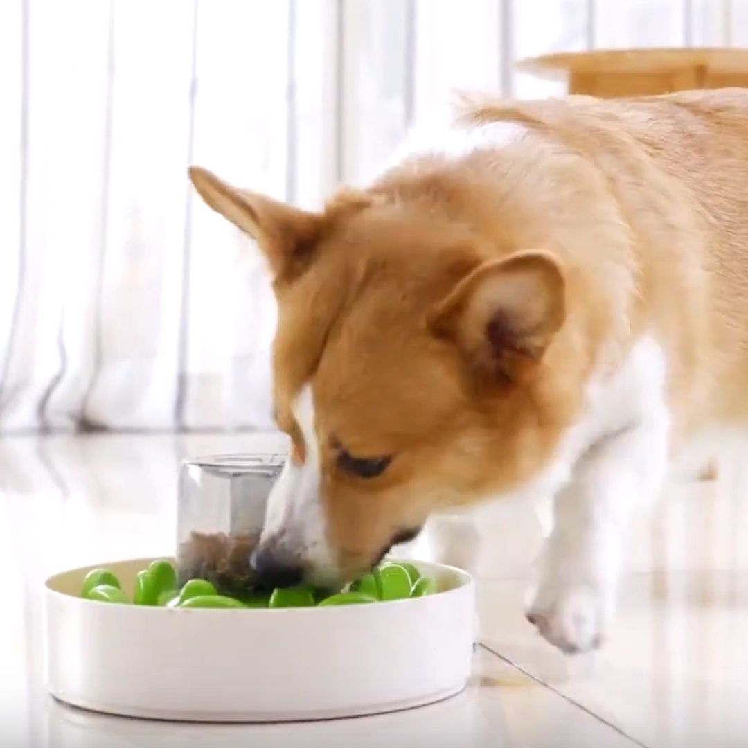 Pet DreamHouse SPIN UFO Maze Interactive Dog Bowl and Slow Feeder | PeekAPaw Pet Supplies