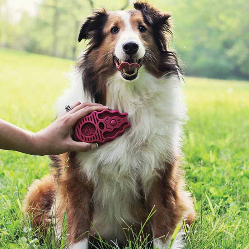 KONG Dog Toys ZoomGroom 05