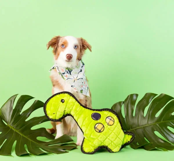 Zippy Paws Dog Toys Plush Grunterz Z-Stitch - Donny Dinosaur 04