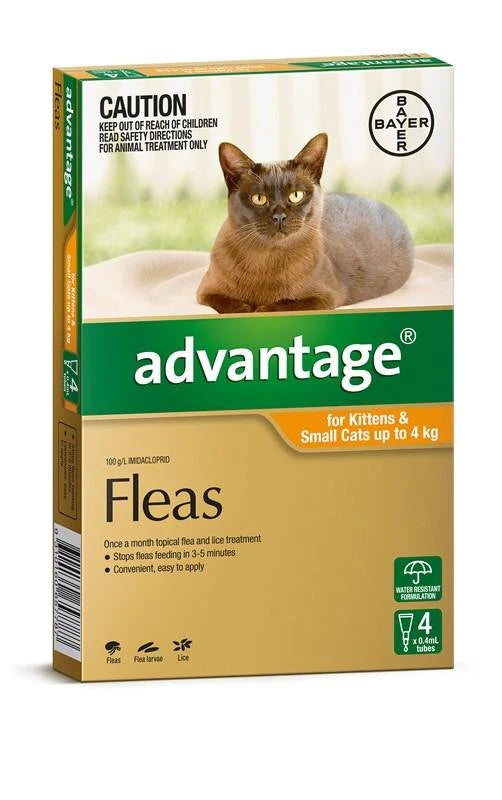 Advantage Cat 0-4kg Orange 4 Pack