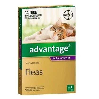 Advantage Cat 4kg+ Purple 1 Pack