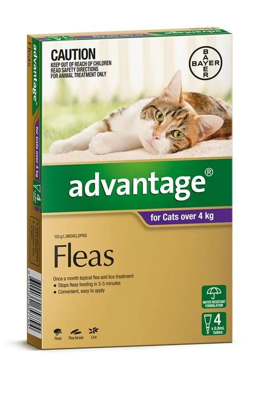 Advantage Cat 4kg+ Purple 4 Pack