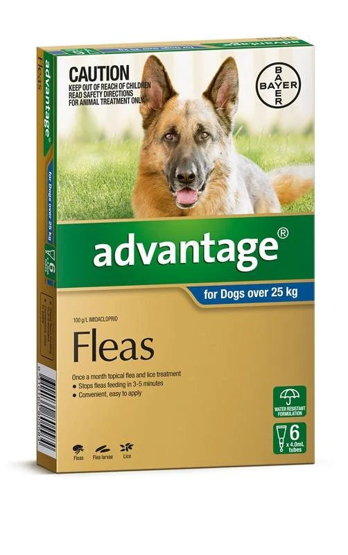 Advantage Dog 25kg+ Blue 6 Pack