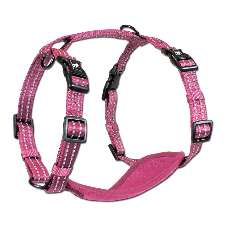 Alcott Adventure Nylon Dog Harness Set - Pink