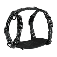 Alcott Adventure nylon dog harness in black with reflective stitching