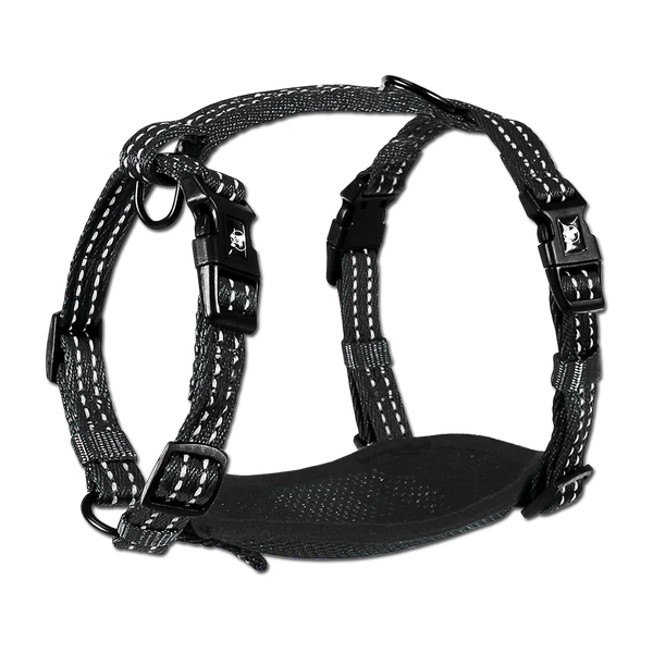 Alcott on sale dog collar