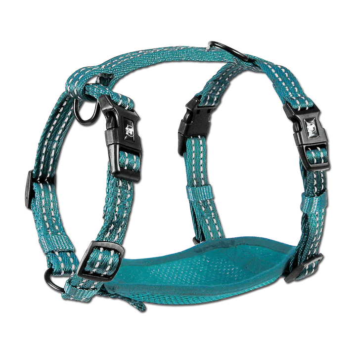 Alcott Adventure Nylon Dog Harness Set - Blue
