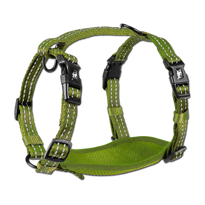 Alcott Adventure Nylon Dog Harness Set - Green