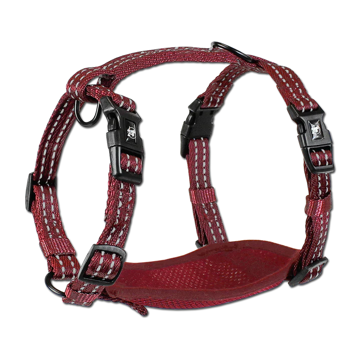 Alcott dog outlet harness