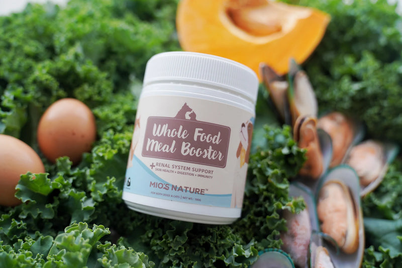 Mio's Nature Whole Food Meal Booster 04