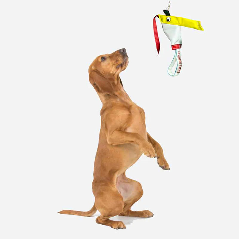Aussie Dog Standard Bungie Chook Hanging Dog Toy 03